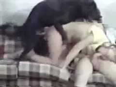 While the babe swallows her man's rod, a brute rams the dirty young girlfriend from behind.